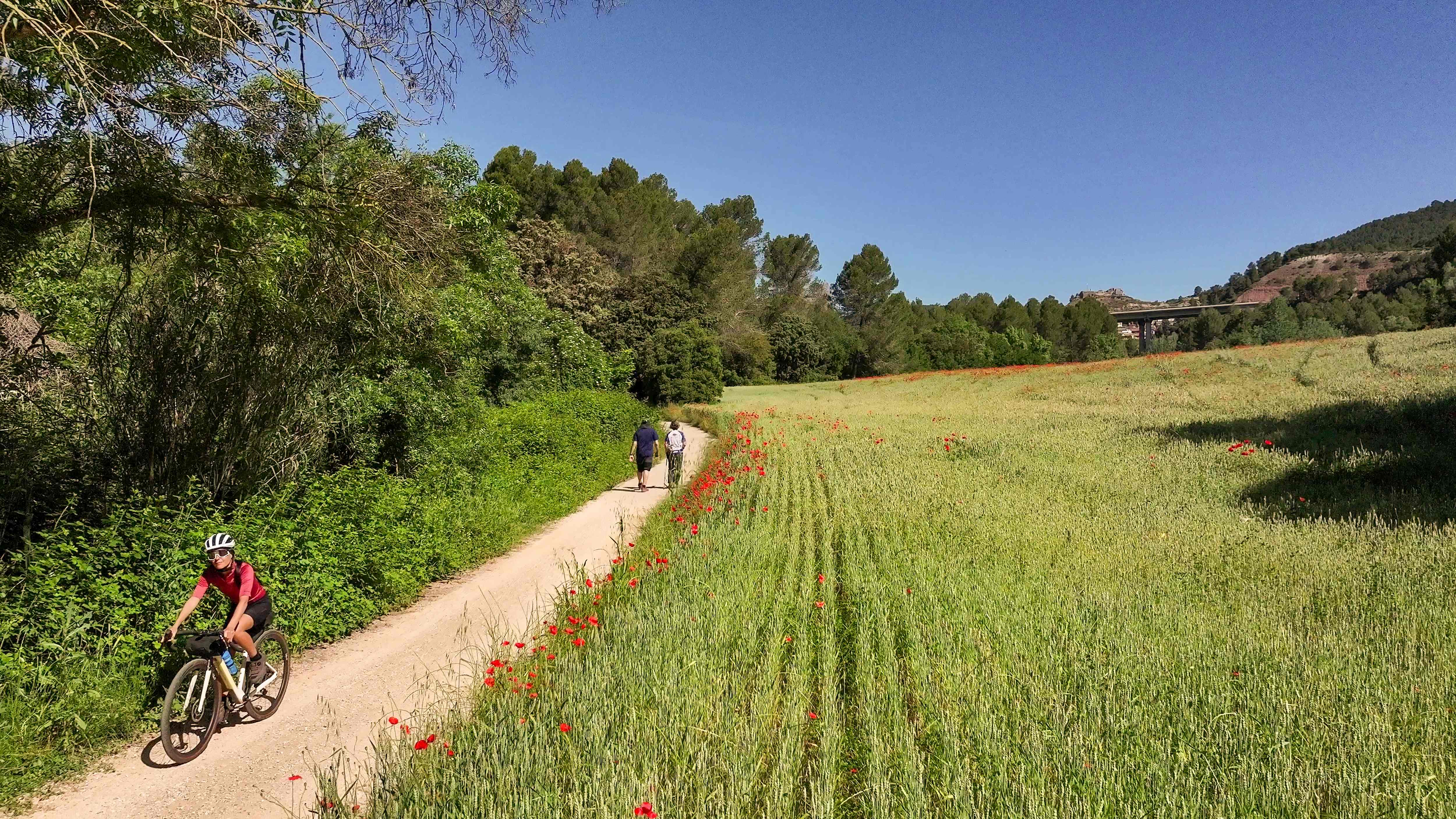 Camí de la Via Blava Anoia amb ciclista i caminants